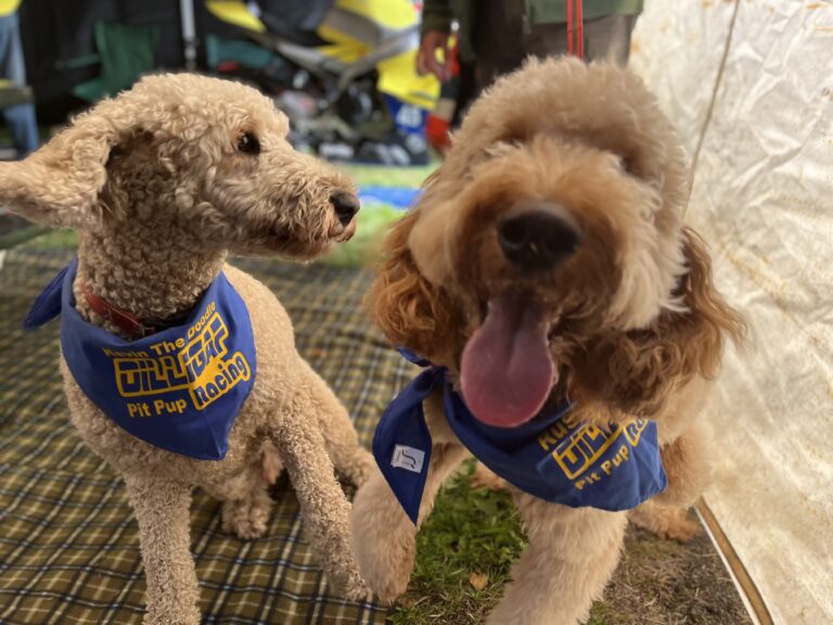 Kevin & Rusty