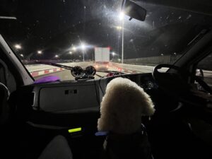 IMG_5333