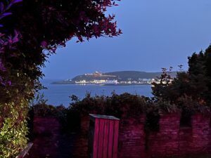IMG_5537