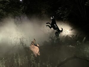 IMG_5544