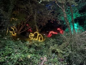 IMG_5545
